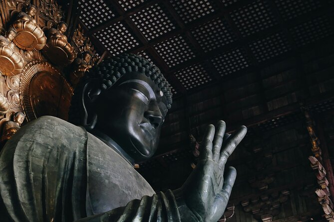 Nara Heritage Walkabout From Nara Park to Todaji Temple - Accessibility and Transportation Information