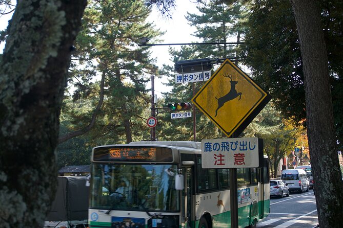 Nara Heritage Walkabout From Nara Park to Todaji Temple - Price and Booking Details