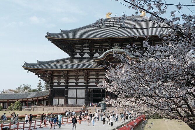 Nara Heritage Walkabout From Nara Park to Todaji Temple - Weather Contingency and Additional Notes