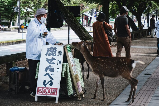 Nara Heritage Walkabout From Nara Park to Todaji Temple - The Sum Up