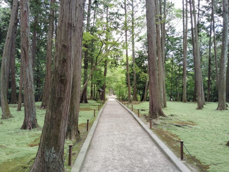 Nara: Hidden World Heritage  Yakushi-ji & Toshodai-ji (3H) - Good To Know