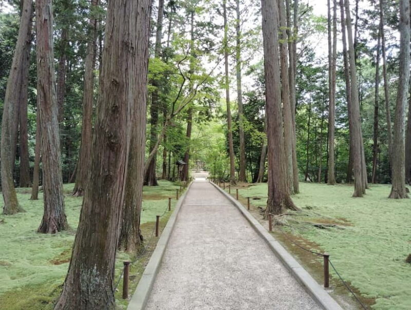 Nara: Hidden World Heritage  Yakushi-ji & Toshodai-ji (3H) - The Sum Up