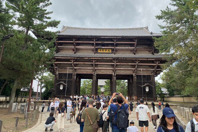 Nara Highlights Guided Tour by Private Car from Osaka - The Sum Up