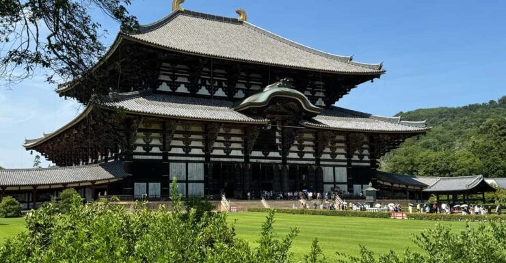 Nara: Highlights of Nara in 3 Hours - Guided Tour - Nara Park Experience