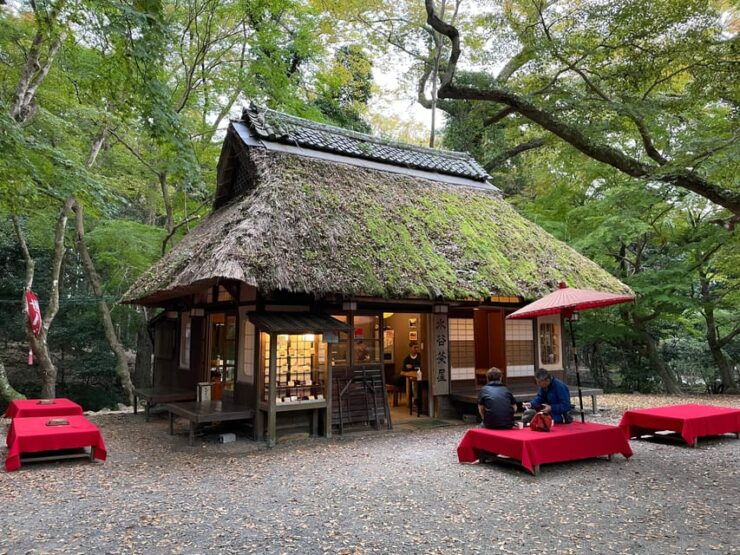 Nara: Hiking the Forest, Big Buddha, Deer, Shrine, Sun Set - Good To Know