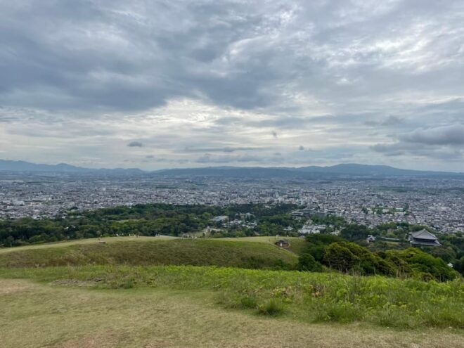 Nara: Hiking the Forest, Big Buddha, Deer, Shrine, Sun Set - Experience With Wild Deer