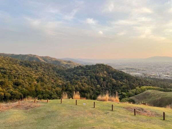 Nara: Hiking the Forest, Big Buddha, Deer, Shrine, Sun Set - Culinary Delights in Nara