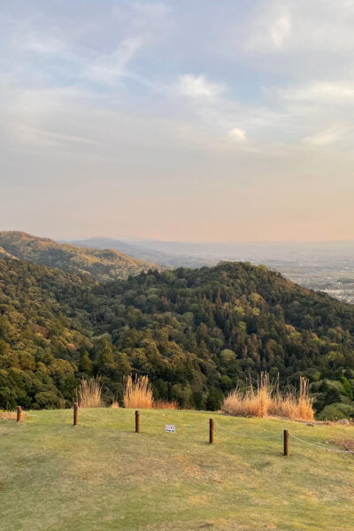 Nara: Hiking the Forest, Big Buddha, Deer, Shrine, Sun Set - Frequently Asked Questions