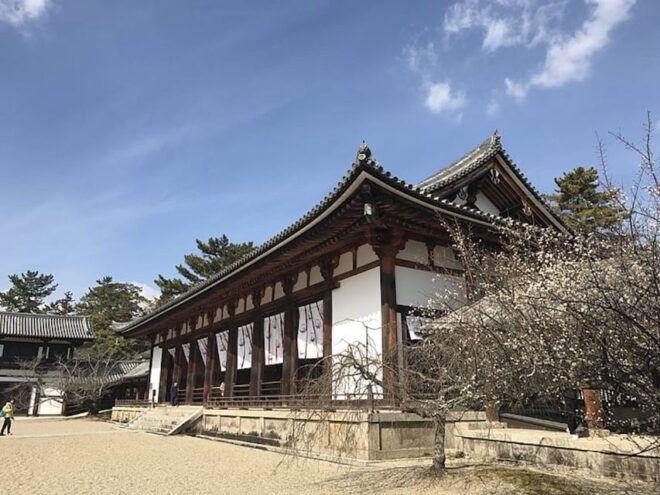 Nara: Horyuji, Hokiji, Chuguji & Horinji Temple Entry Ticket - Temple Overview