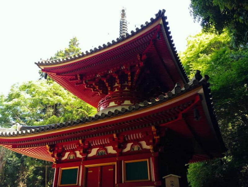 Nara: Hozan-ji Temple Guided Tour with Cable Car Ride - Practical Details and Experience Insights