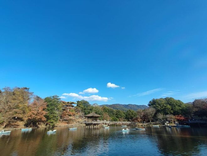 Nara Imaginary Experience - Booking Information