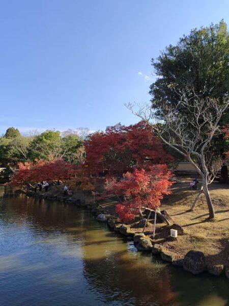 Nara Imaginary Experience - Unexpected Moments in Nara