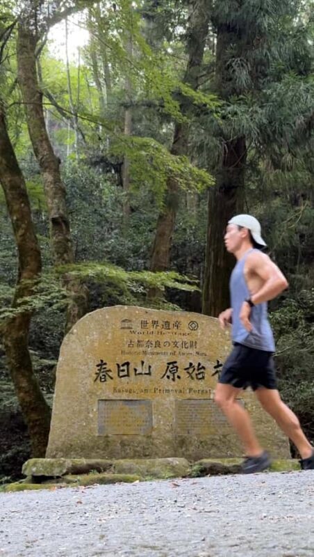 Nara: Jog Through 3 UNESCO World Heritage Sites with Deers - Final Thoughts: Is It Worth It?