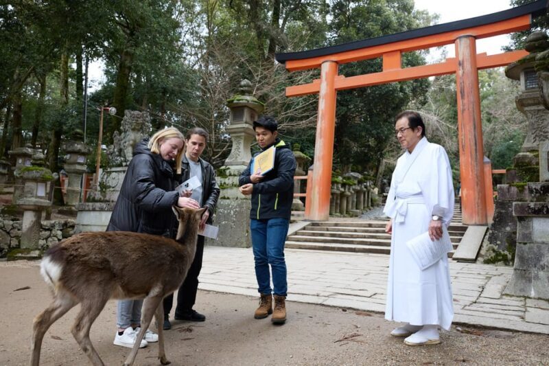 Nara: Kasuga Taisha, Sacred Deer Shrine Guided Tour - Discovering Kasuga Taisha: A Closer Look