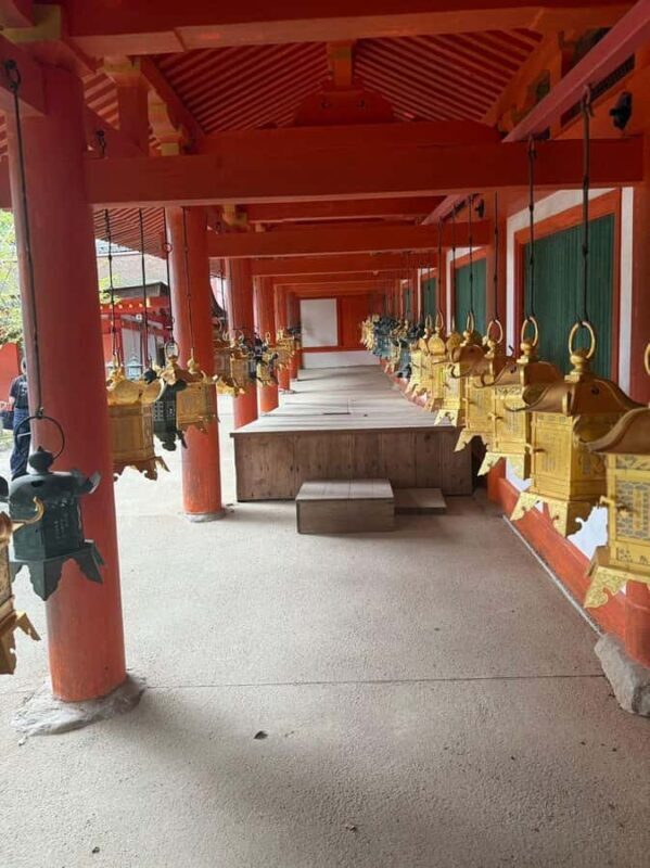 Nara: Kasuga Taisha Shrine Candlelight Tour with Drink - Who Would Love This Tour?