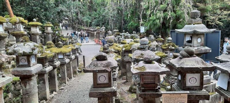 Nara: Kasuga Taisha Shrine Candlelight Tour with Drink - Comparing Value and Similar Experiences