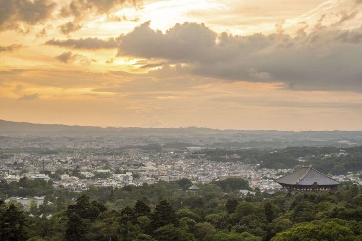 Nara Like a Local: Customized Guided Tour - Activity Details