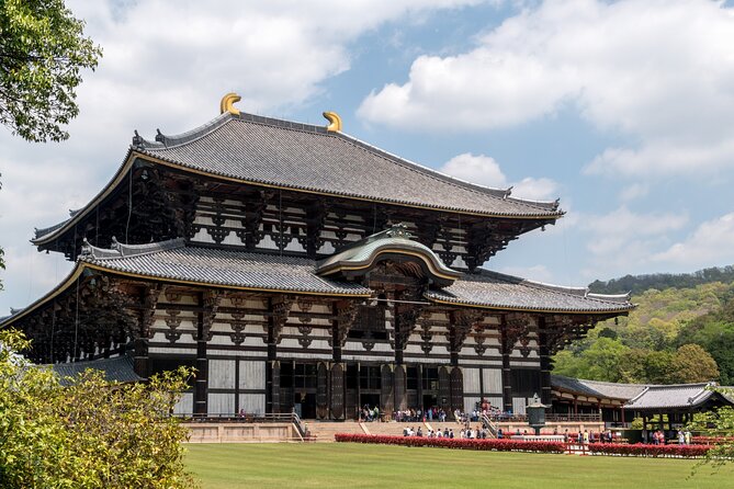 Nara Like a Local: Customized Private Tour - Customization Options for Your Tour