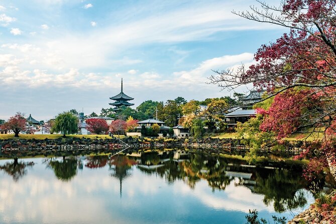 Nara Like a Local: Customized Private Tour - Addressing Concerns and Improvements