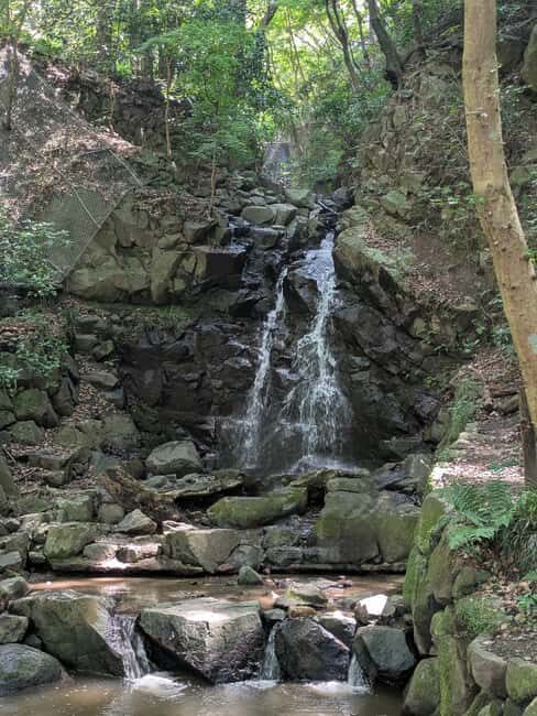 Nara: Mt. Ikoma Guided Hiking Tour with Cable Car and Views - How Reviewers Describe the Experience