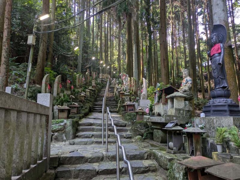 Nara: Mt. Ikoma Guided Hiking Tour with Cable Car and Views - Introduction