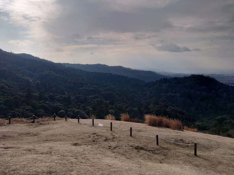 Nara: Mt. Wakakusa Family Picnic Trail with Guide - An Authentic, Family-Friendly Walk on Mt. Wakakusa
