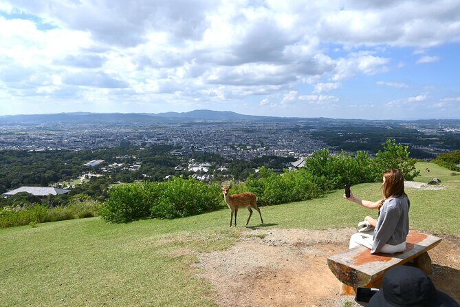 Nara Mt.Wakakusa Hilltop Bus From JR or Kintetsu Nara Station - The Sum Up
