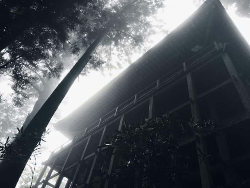 Nara: Muro-ji Temple Serenity, Tradition and Sacred Beauty - Introduction: Why This Tour Stands Out