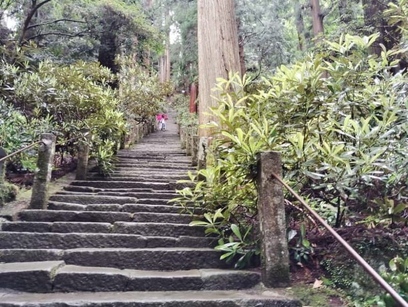 Nara: Muro-ji Temple  Serenity, Tradition and Sacred Beauty - What Makes This Tour Special?