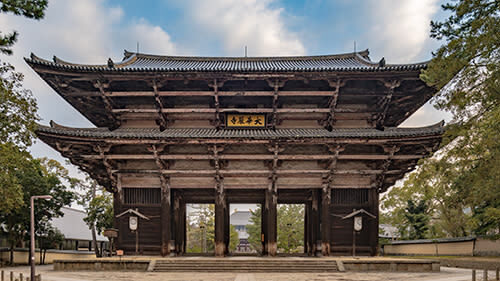 Nara Park & Kinkakuji Temple Heritage Tour with Tea Ceremony - Should you book this Nara tour?