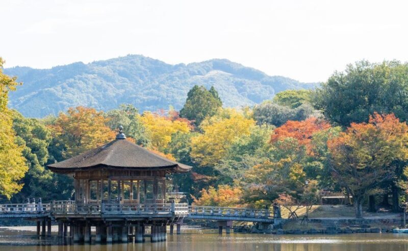 Nara: Private City Tour With A Local Guide - Nara: Private City Tour With A Local Guide
