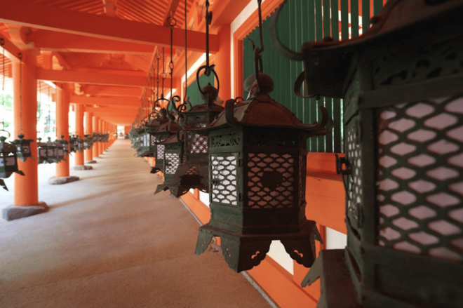 Nara Private Custom Tour With Local Guide - Cultural Insights and Activities