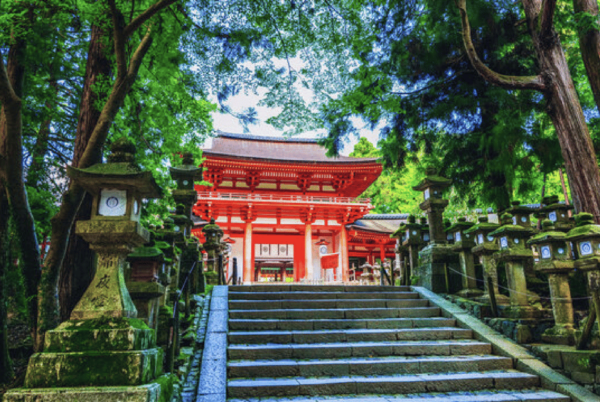Nara Private Custom Tour With Local Guide - What to Expect