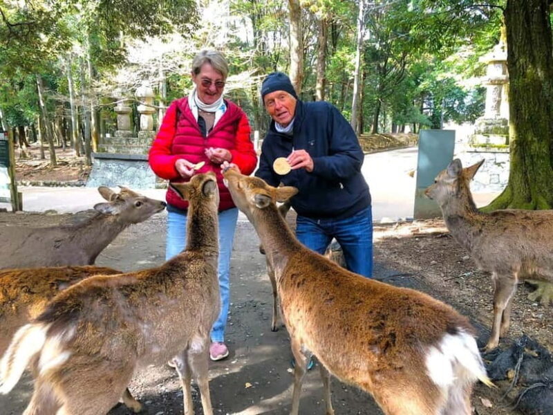 Nara: Private Custom Walking Tour with Local Guide - How the Tour Fits into Your Travel Day  