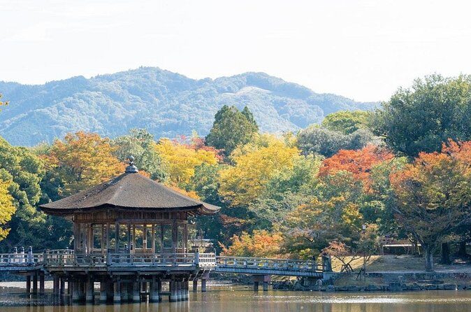 Nara : Private Day Walking Tour (From Osaka/Kyoto Possible) - FAQ