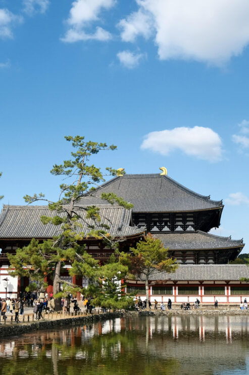 Nara Private Full Day Tour With a Culinary Guide - Itinerary Highlights