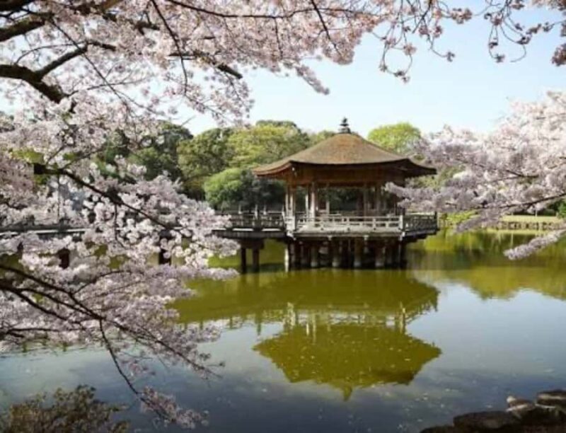 Nara: Private Full-Day Tour with Licensed Guide - Who Is This Tour Best For?