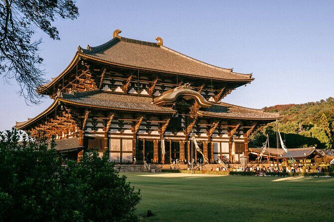 Nara Private Personalized Tour with a Local: Highlights & Gems - What to Expect from the Itinerary