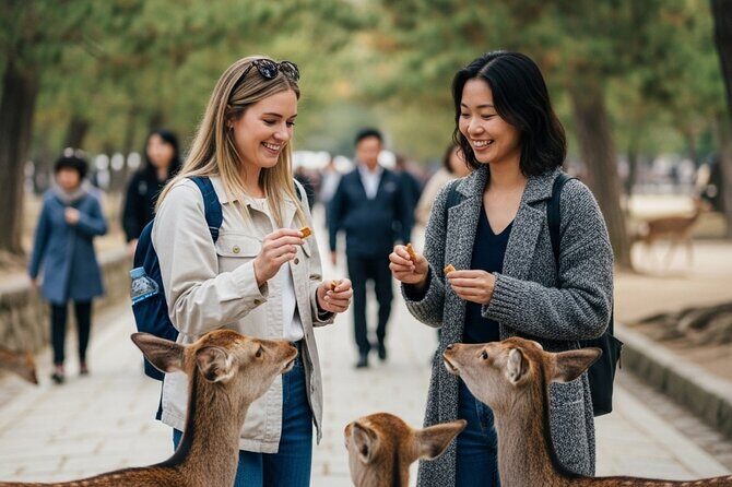 Nara Private Personalized Tour with a Local: Highlights & Gems - The Sum Up