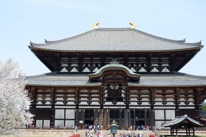 Nara Private Tour by Public Transportation From Kyoto - Questions