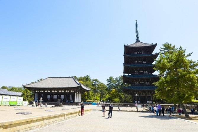 Nara Private Tour by Public Transportation From Kyoto - The Sum Up