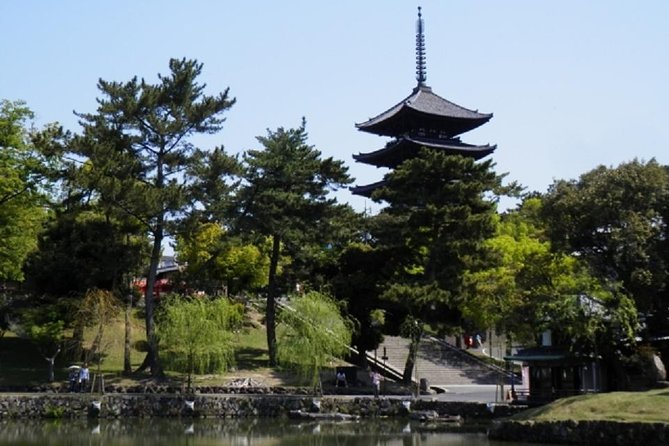 Nara Private Tour by Public Transportation From Osaka - Questions and Support