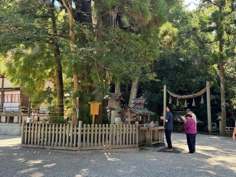 Nara: Private Tour of Japan's Oldest Shrine, Omiwa Shrine - Good To Know