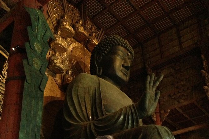 Nara Private Tour (Shore Excursion Available From Osaka or Kobe Port) - Tour Details