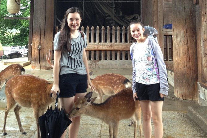 Nara Private Tour (Shore Excursion Available From Osaka or Kobe Port) - Meeting and Pickup