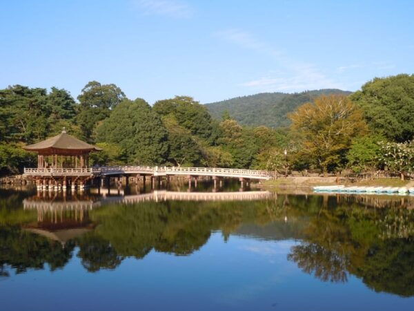 Nara PRIVATE TOUR: Todai-ji and Nara Park (Spanish Guide) - Meeting Point Details