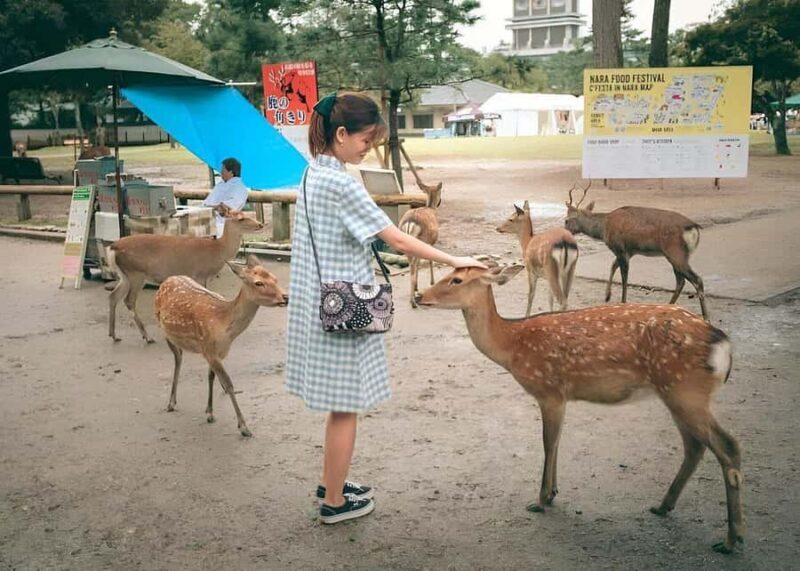 Nara: Private Tour with Car Deer Park & Todai-ji Temple - Introduction to the Nara Private Tour
