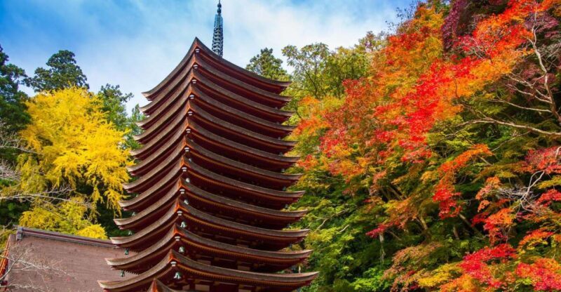 Nara: Private Tour with Private Guide - FAQs