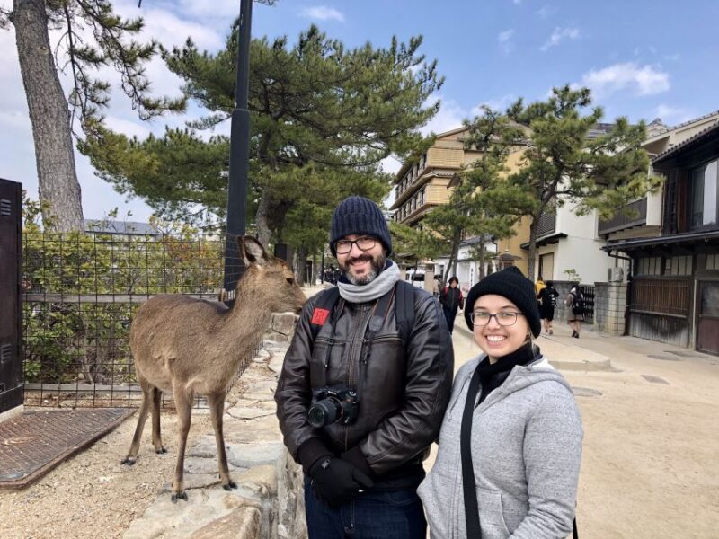 Nara: Private Tour with Private Guide - Why Choose this Private Nara Tour?