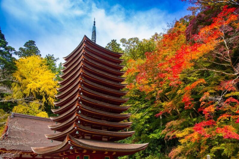 Nara: Private Tour with Private Guide - What to Expect During Your Nara Tour